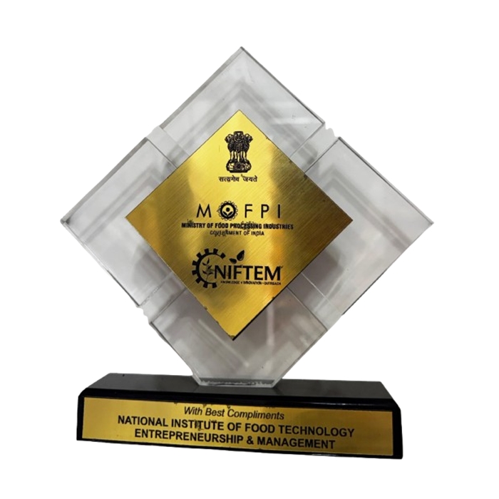 Micro Technologies Award Certificate