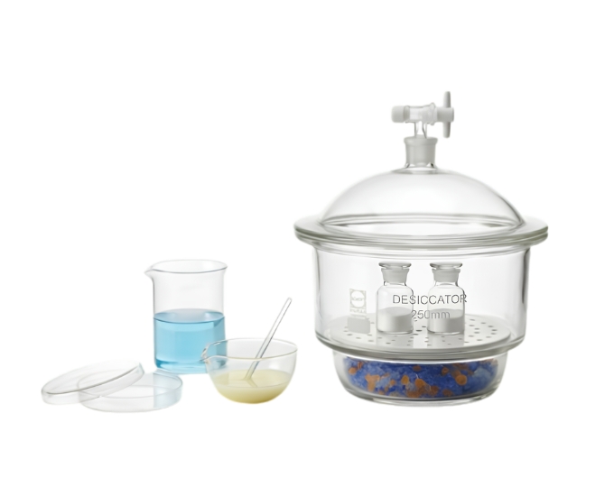 Laboratory Dishes and Dessicator