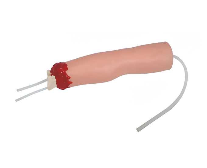 Upper Limb Trauma Amputation and Hemostasis Model - Product Image