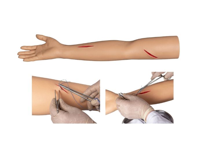 Advanced Surgical Suture Training Arm with Realistic Skin Layers - Product Image