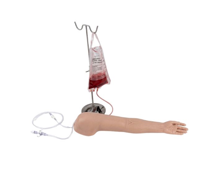 Multifunctional Intravenous Injection Arm Model with Multi-Vein and IM Training