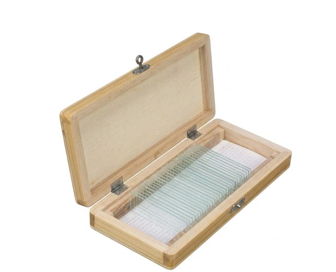 Wooden Microscope Slide Box (MT-WSB Series)