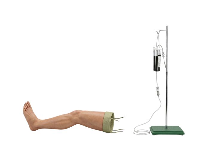 Advanced Infant Intravenous Transfusion Training Model with Multi-Vein Access