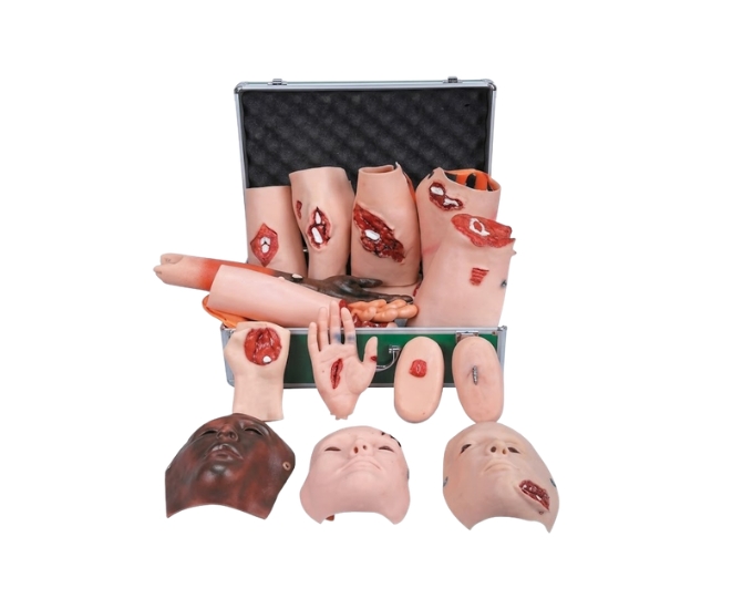 Advanced Trauma Evaluation Model - Product Image