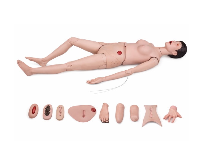 Comprehensive Nursing Training Manikin with Advanced Clinical Simulation Features - Product Image