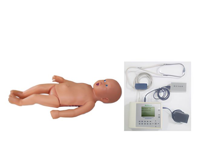 Infant Auscultation Manikin - Product Image