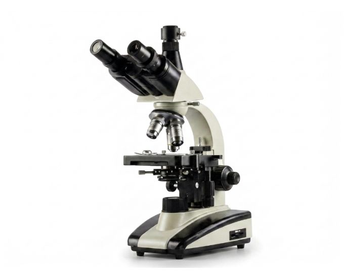 Trinocular Microscope