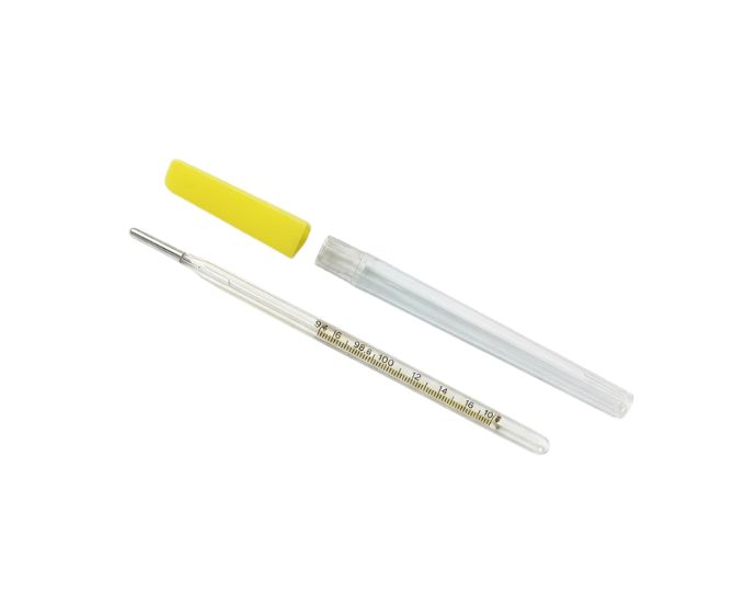 Rectal Thermometer - Product Image