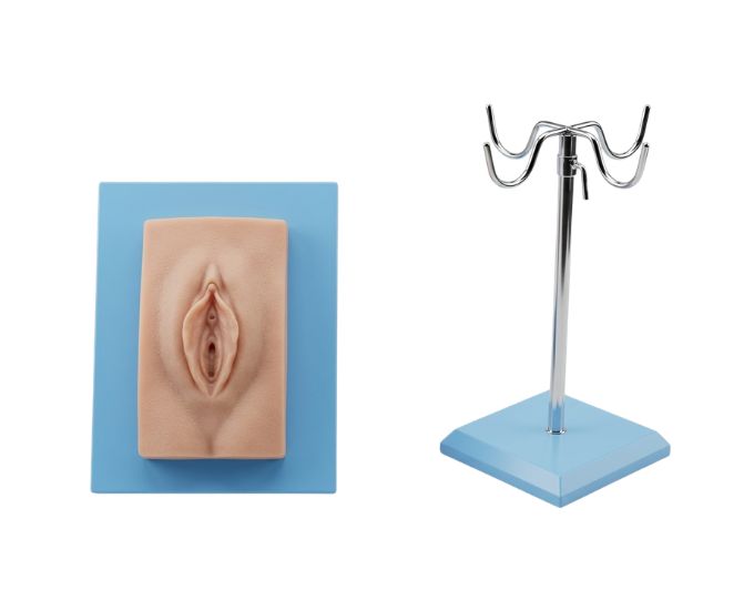 Dressed Female Catheterization Training Model with Urinary Simulation - Product Image