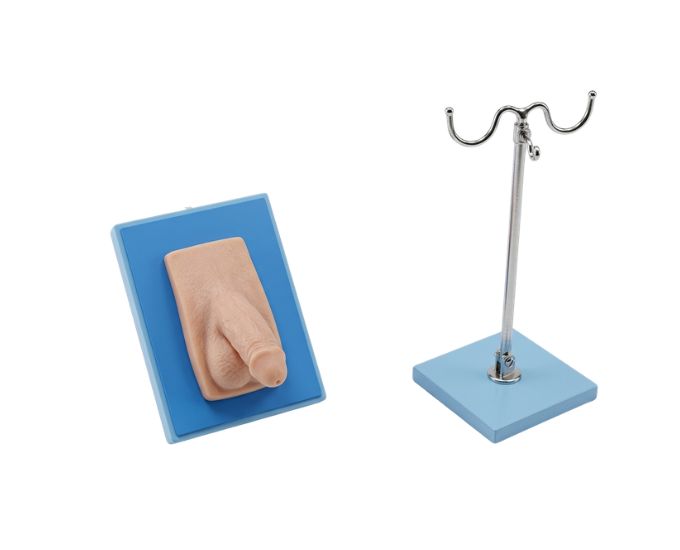 Dressed Male Catheterization Training Model with Urinary Simulation Small - Product Image