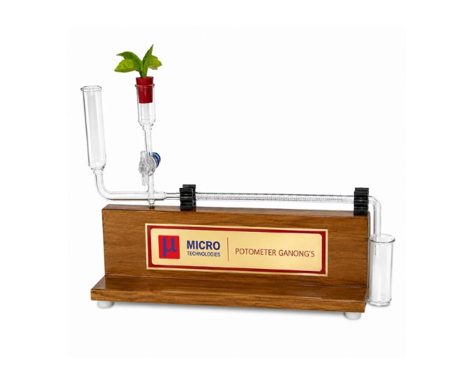 Ganong's Potometer on Wooden Base