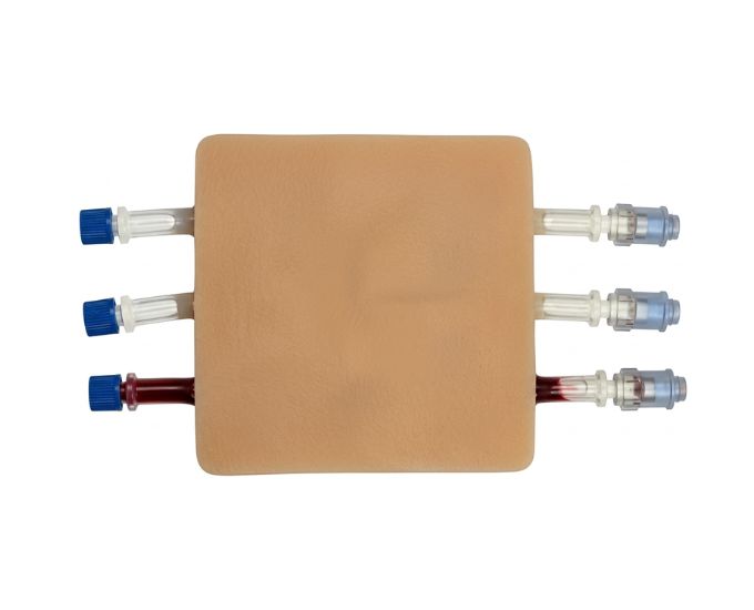 Intravenous IV and Blood Draw Phlebotomy Trainer with Triple Vein Simulation