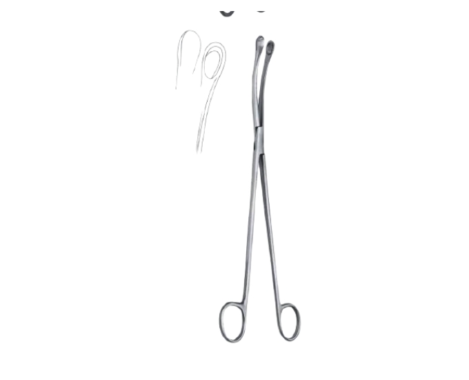 Ovum Forceps Curved Cup for Gynecological Tissue Handling - Product Image