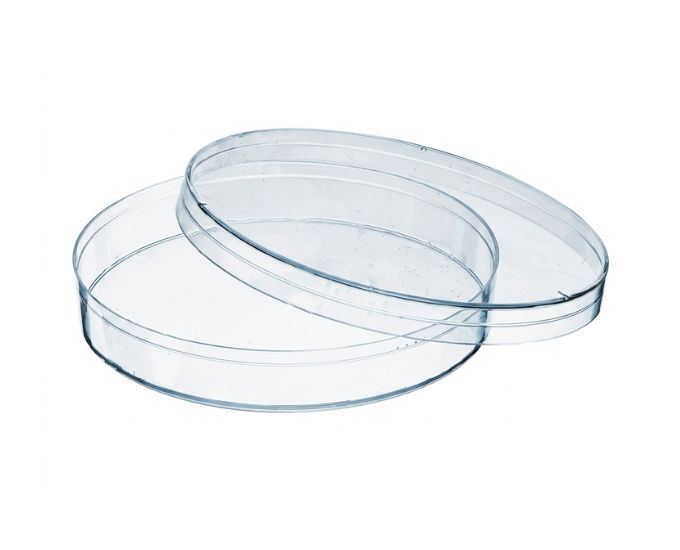 Petri Dish