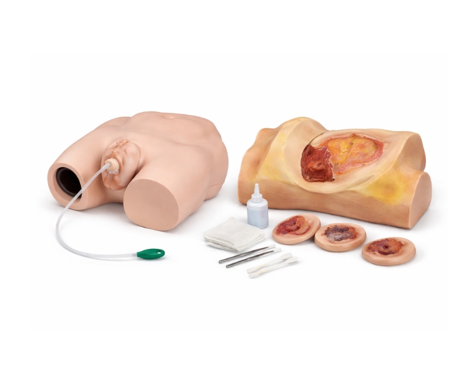 Maternity Examination Model for Obstetric Training