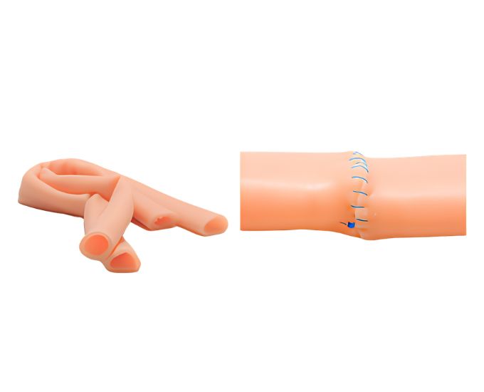 Small Intestine Suturing Simulator - Product Image