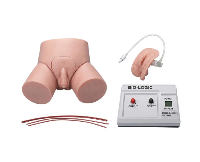 Electronic Urethral Catheterization and Enema Training Model with Indicator System - Product Image