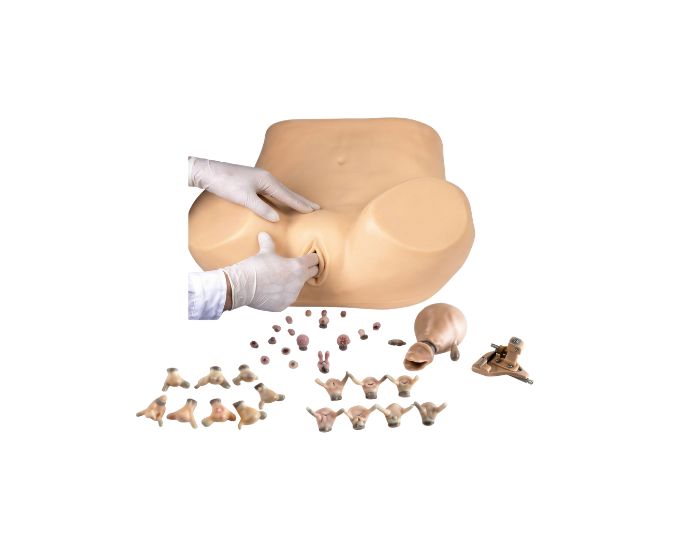 Advanced Gynecological Training Simulator with Hysteroscopy and Laparoscopic Functions