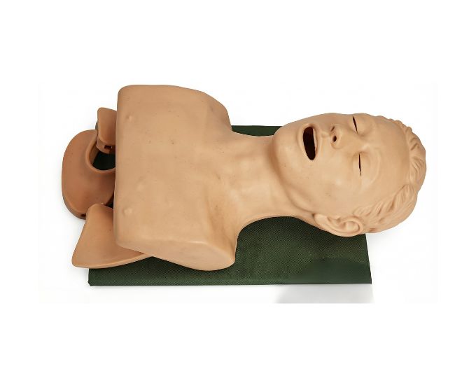 Electronic Trachea Intubation Training Model with Feedback and Warning System