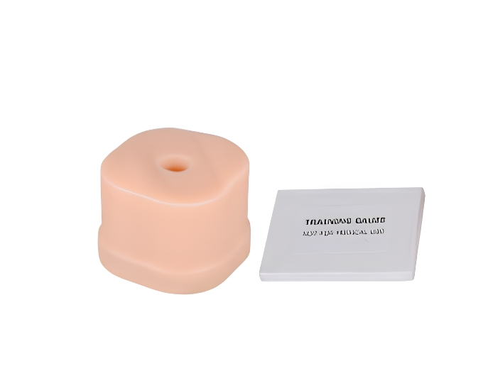 Basic Wound Packing Task Trainer - Product Image