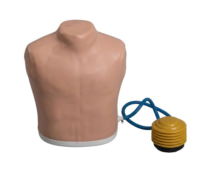 Pneumothorax Treatment Training Model with Decompression Practice - Product Image