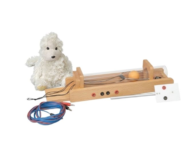 Monkey and Hunter Demonstration Apparatus