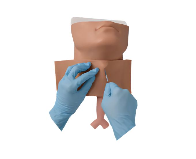 Cricothyrotomy Task Trainer for Emergency Airway Management - Product Image