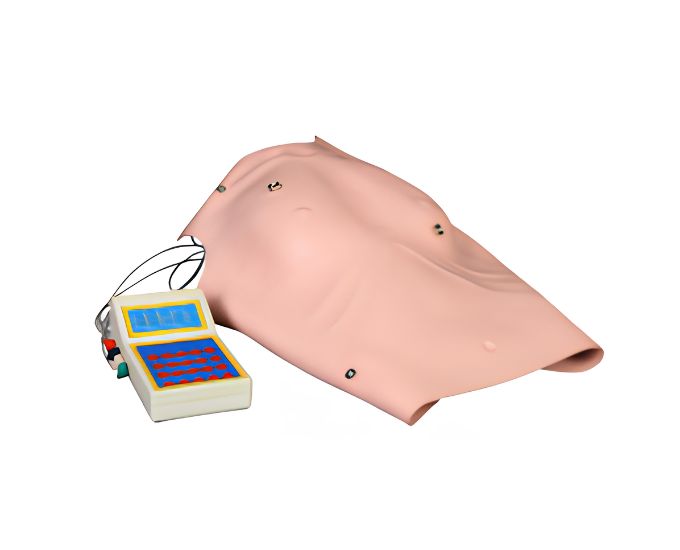 ECG Vest Simulator