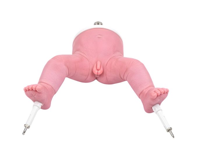 Infant Bone Marrow Puncture Training Model with Tibial Access Simulation