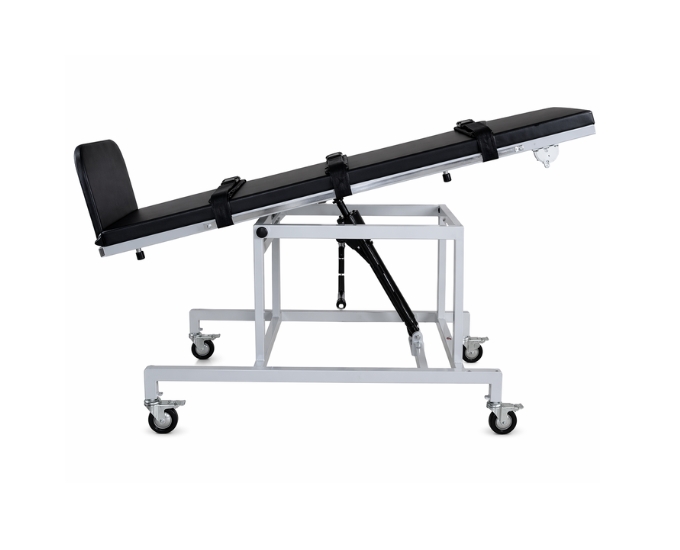 Tilt Table MTH-298 for Physiotherapy with Adjustable 0–90° Positioning