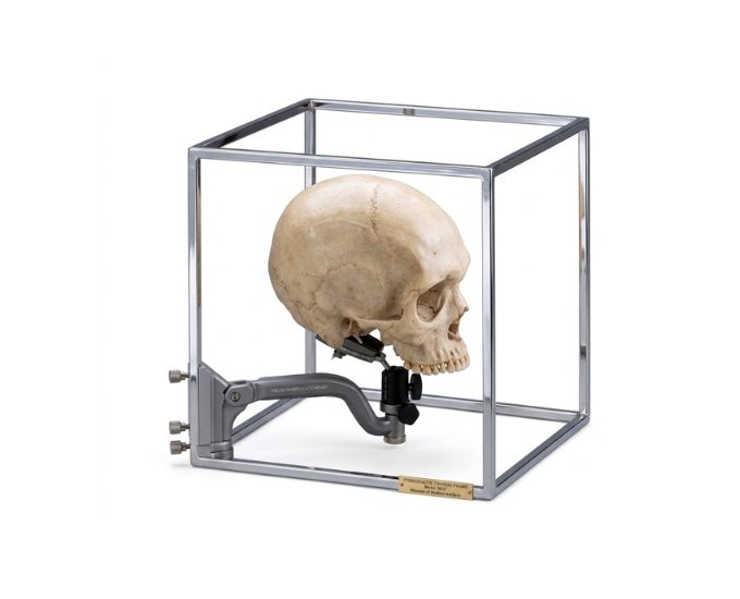 Cubic Craniophor Clamp