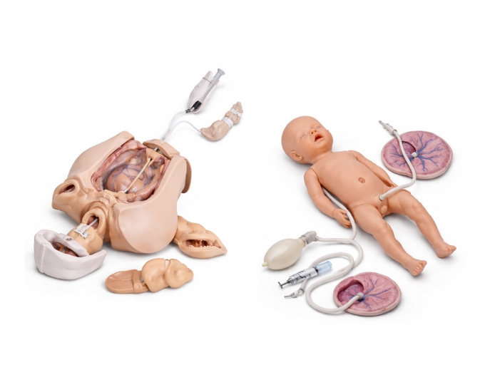 Advanced Manual Delivery Mechanism Demonstration Simulator