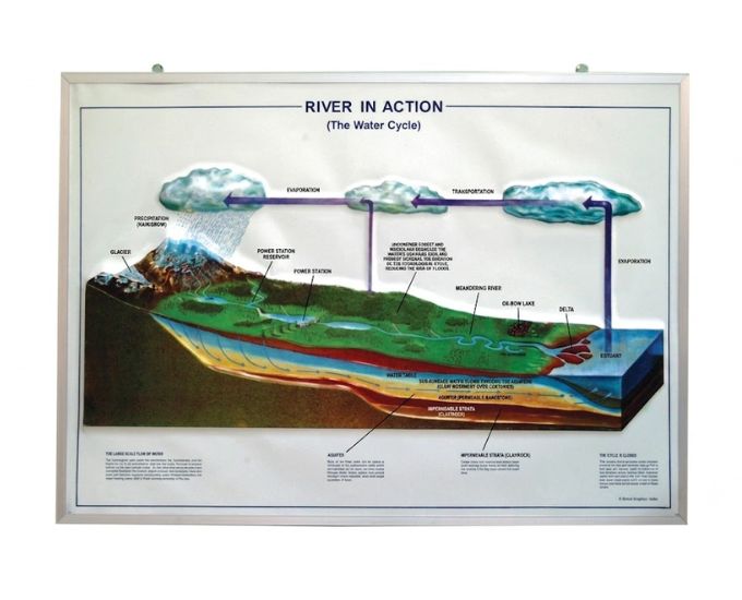 River in Action Model