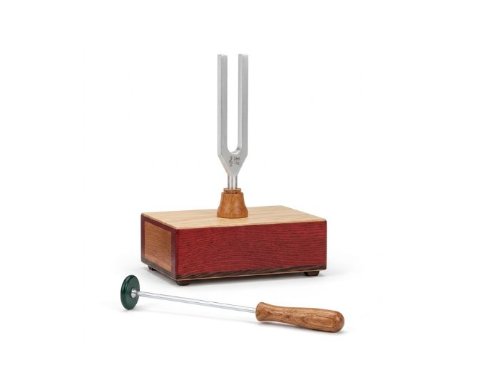 Tuning Fork on Resonance Box with Hammer