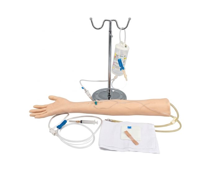 Multifunctional Child IV Training Arm with Multi-Vein System for Pediatric Practice