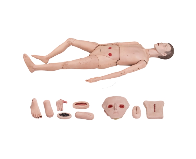 Full-Functional Nursing Training Manikin with Blood Pressure Simulation - Product Image