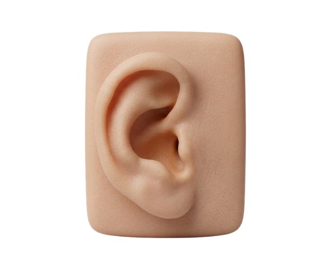 Simulation Ear Suture Pad for Facial Laceration Repair Training