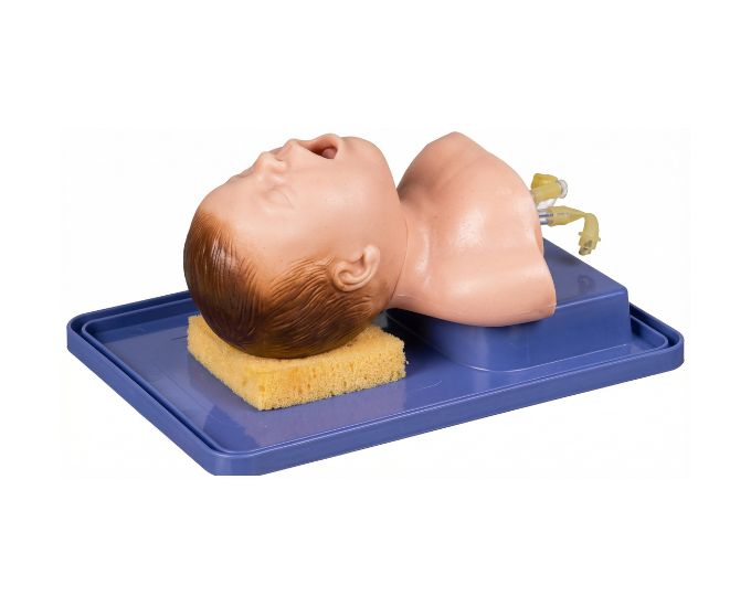 Neonate Intubation Training Model with Lung Expansion Observation
