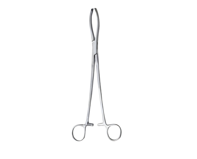 Littlewood Tissue Forceps for Gynecological and Surgical Use