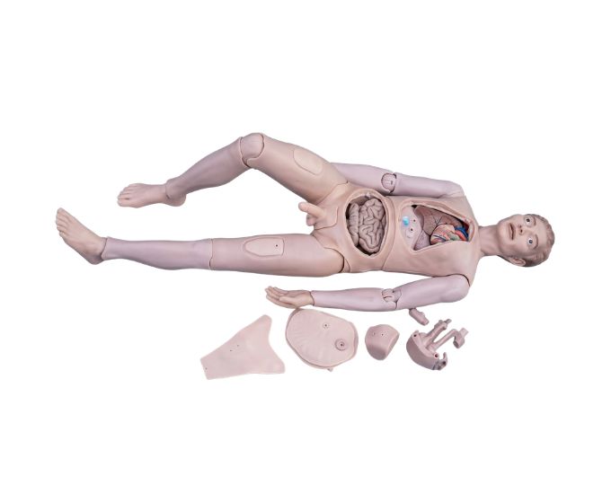 High Quality Nurse Training Doll for Patient Care and Rehabilitation Training - Product Image