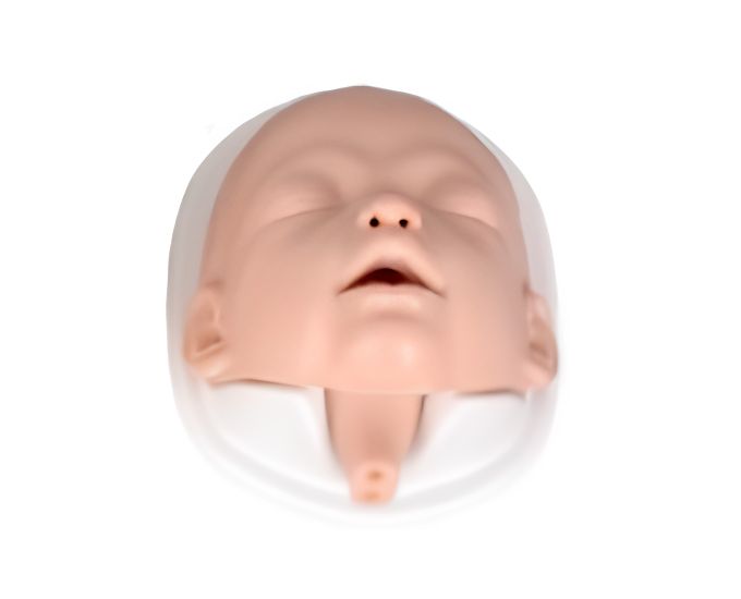 Infant Airway Management Training Model - Product Image