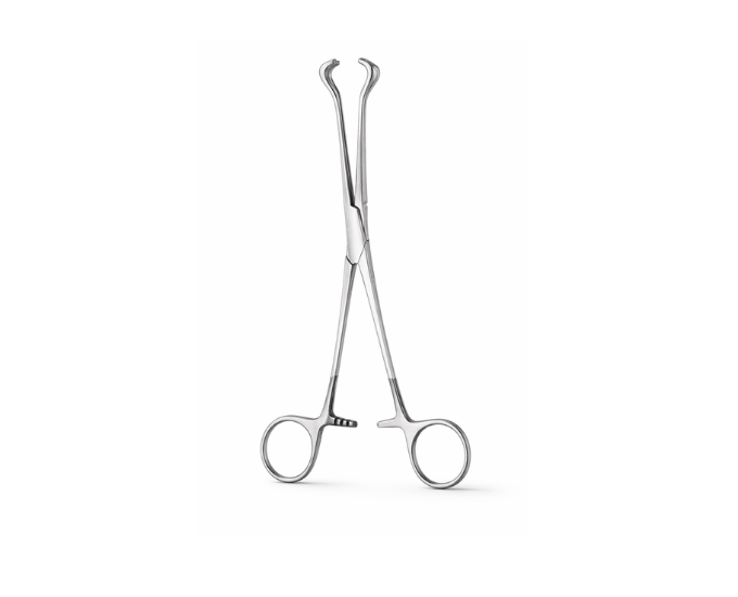 Babcock Tissue Forceps with Tungsten Carbide Jaws for Precision Surgery