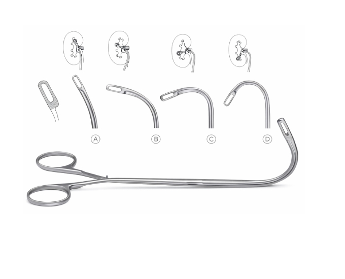 Desjardin Gall Stone Forceps for Biliary Surgical Procedures - Product Image