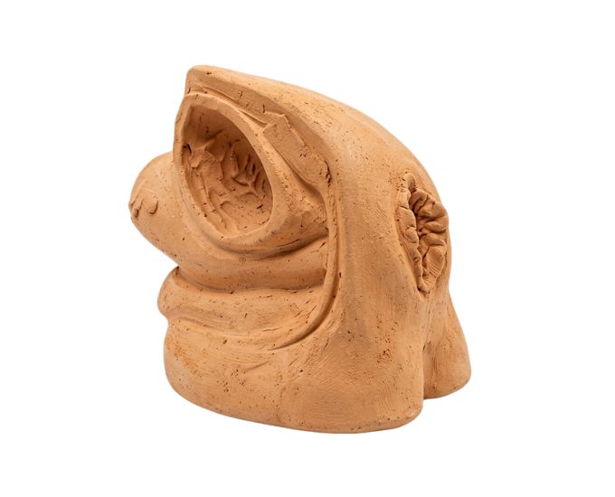 Advanced Female Internal and External Organs Catheterization Training Model - Product Image