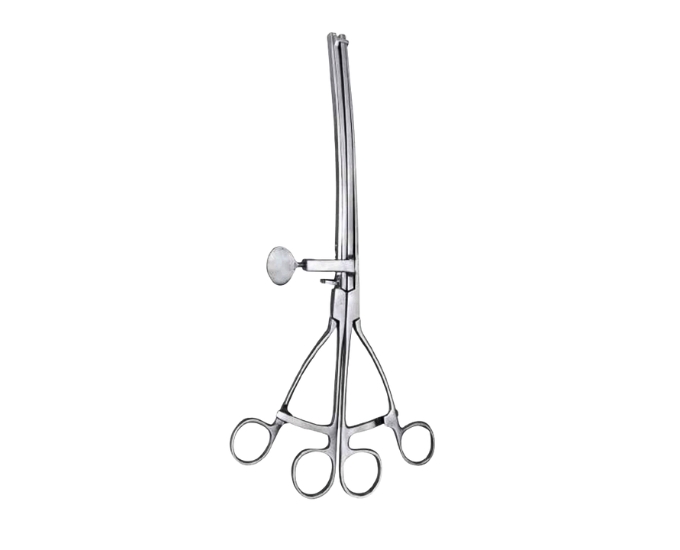Lane’s Twin Anastomosis Clamps Straight and Curved Surgical Set