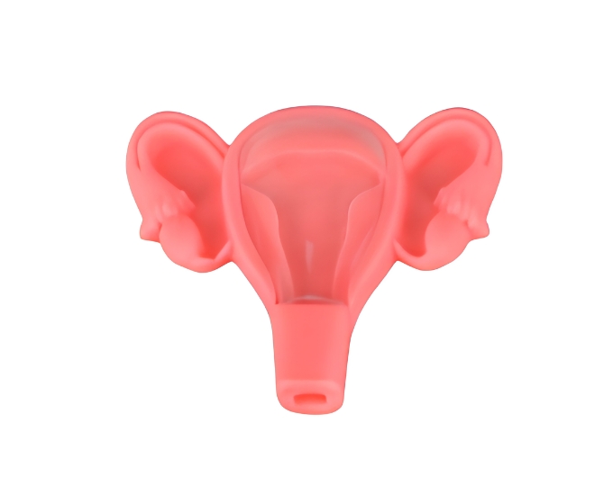 3D Silicone IUD Training Model - Product Image