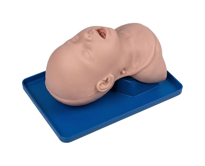 Infant Trachea Intubation Training Model with Lung Expansion Simulation