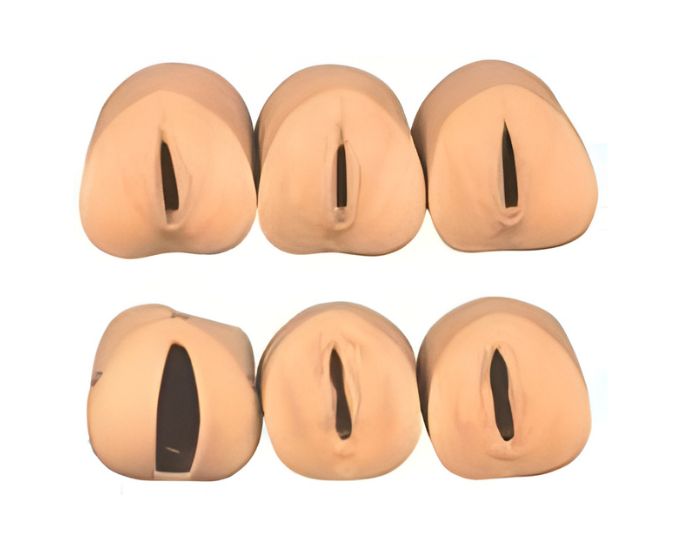 Labour Delivery Training Model with Cervical Dilation Stages