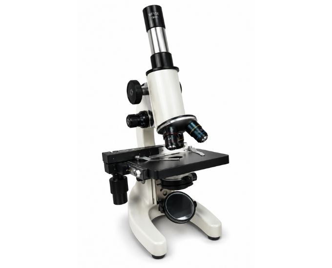 Medical Microscope (MT-256 Series) - Product Image