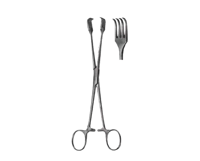 Czerny Forceps 20CM  8" & 25CM  10"